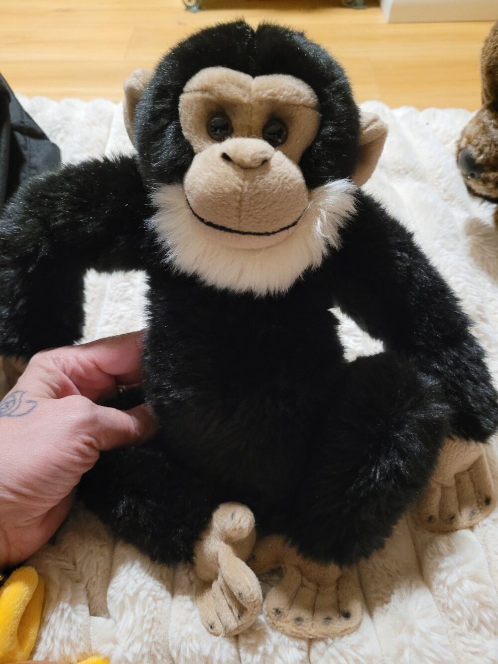 webkinz signature chimpanzee